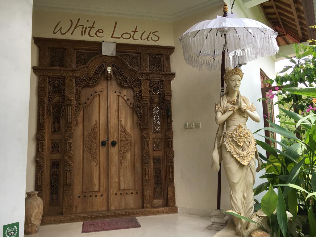 ホテル White Lotus Oasis ウブド エクステリア 写真